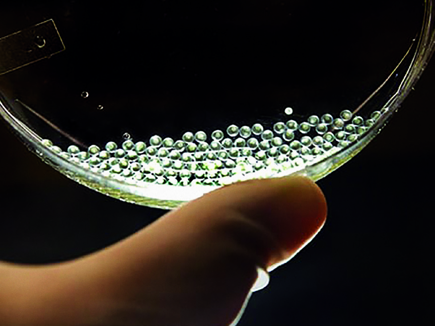 Stamisoma Synchro Levels